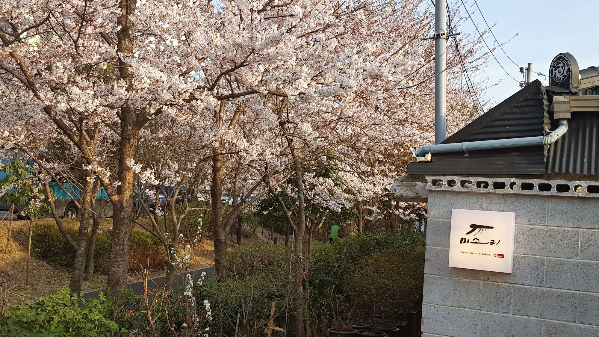 Misori Guesthouse Gwangju Metropolitan City Bagian luar foto